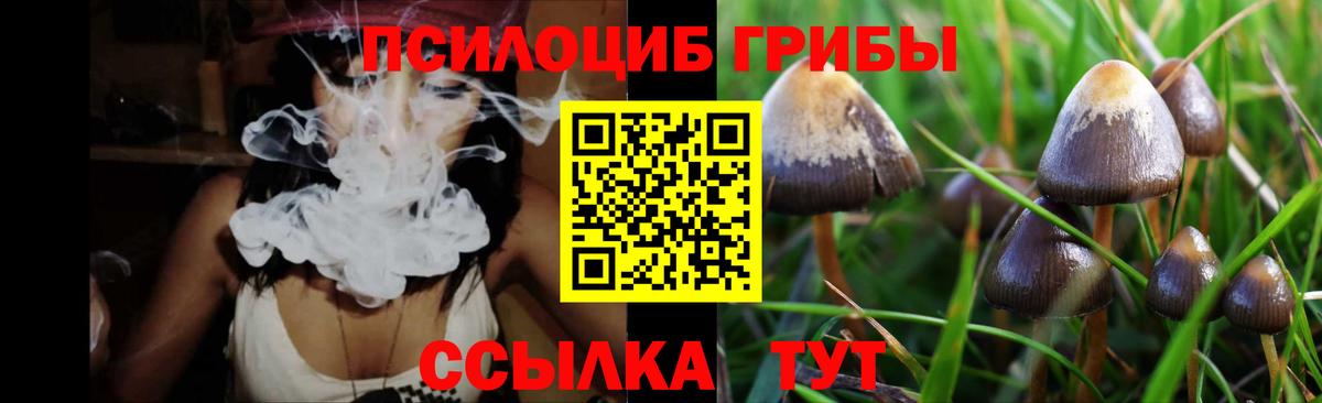 Псилоцибиновые грибы Psilocybine cubensis  магазин продажи наркотиков  Бутурлиновка  Псилоцибиновые грибы мицелий  Вход с VPN 