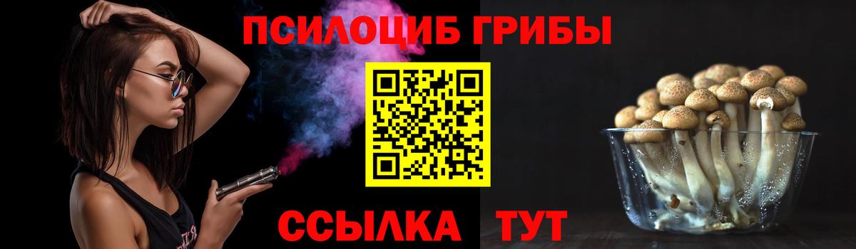 Псилоцибиновые грибы Psilocybine cubensis Бутурлиновка